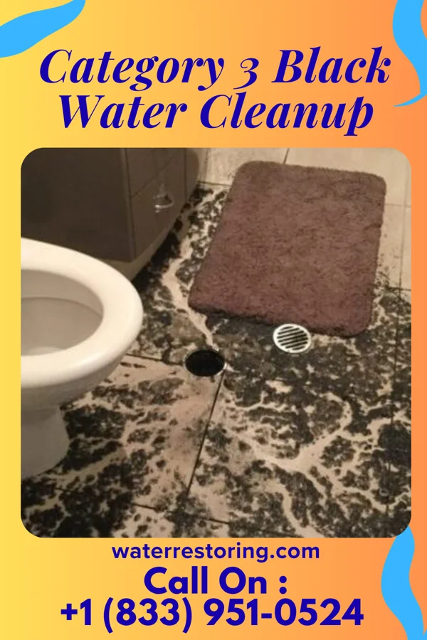 Category 3 Black Water Cleanup in Frankfort, IN