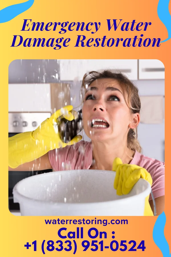 Emergency Water Damage Restoration in Frankfort, IN