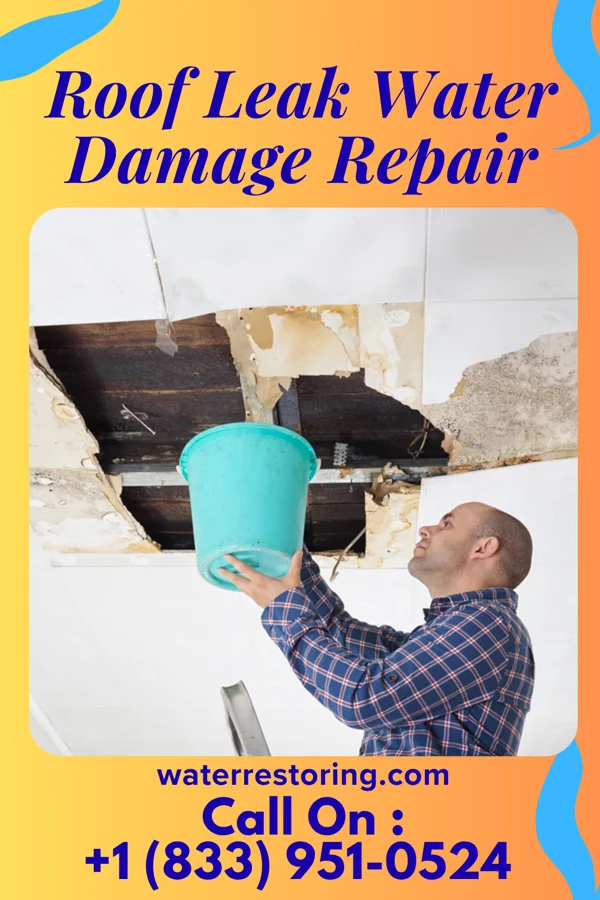 Roof Leak Water Damage Repair in Frankfort, IN